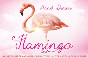 Hand Drawn Flamingo Font Download