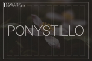 Ponystillo Font Download