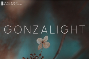 Gonzalight Font Download