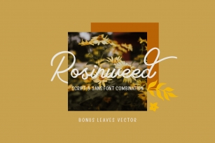 Rosinweed  ( + Bonus Leaves ) Font Download