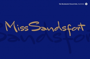 Mr Sandsfort Pro Font Download