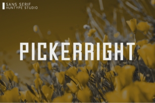 Pickerright Font Download