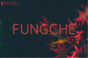 Fungche Font Download