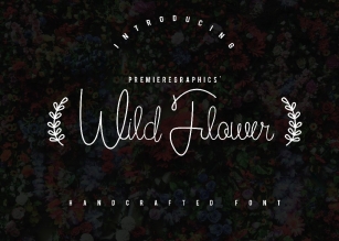 Wild Flower Script Font Download