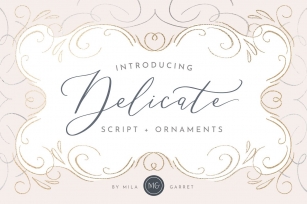 Delicate Elegant Script  Ornaments Font Download