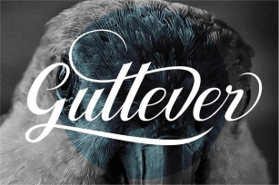 Gullever Font Download