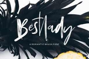 Bestlady Brush Font Download