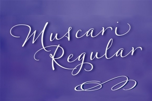 Muscari Regular Font Download