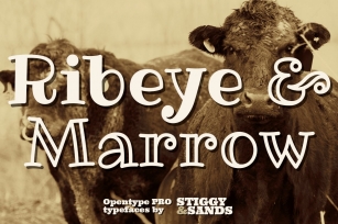 Ribeye Pro Family Font Download
