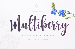 Multiberry Font Download