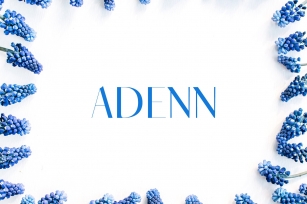 Adenn Sans Serif 4 Family Pack Font Download