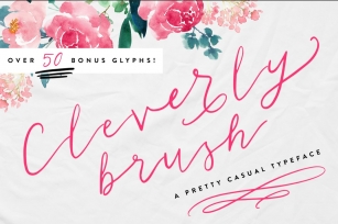 Cleverly Brush Font Download