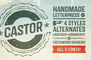 Castor Complete Family Font Download