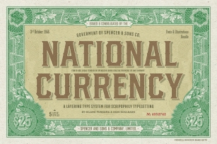 SS National Currency Bundle Font Download