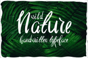 Wild Nature Script Typeface Font Download