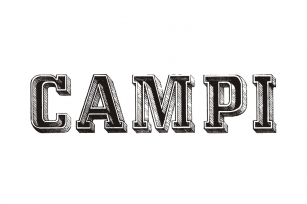 Campi Font Download