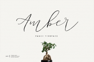 Its Miss Amber Font Download