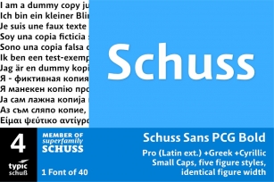 SchussSansPCGBold No.04 (1) Font Download