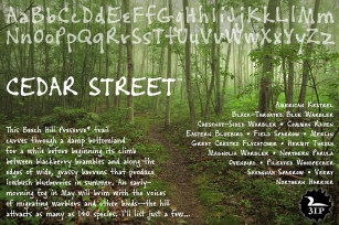 Cedar Street Font Download