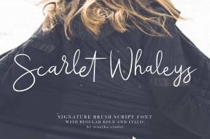 Scarlet Whaleys Font Download