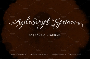 Agile Script Extended License Font Download
