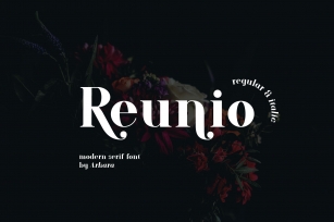ARK Reunio Font Download