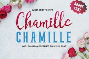 Chamille Font Download