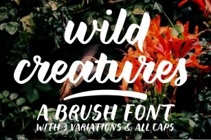 Wild Creatures brush font family Font Download