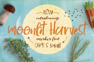 Moonlit Harvest Typeface Font Download