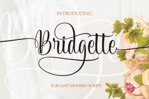 Bridgette Elegant Script Font Download