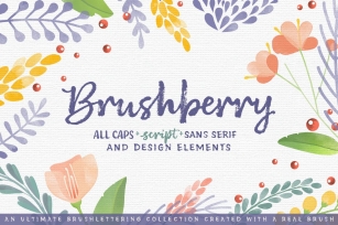 Brushberry Family Font Download