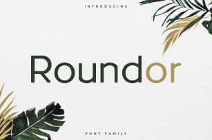 Roundor Family Font Download