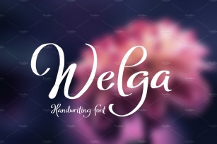 Welga Font Download