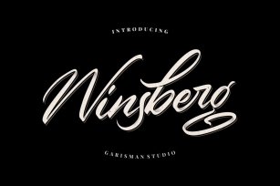 Winsberg Font Download