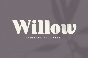 Willow. Typeface Bold Serif Font Download