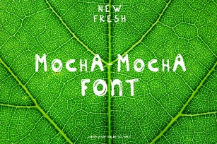 New Fresh MOCHA font Font Download