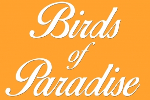 Birds of Paradise © Font Download