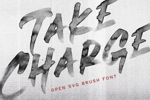 Take Charge Font Download