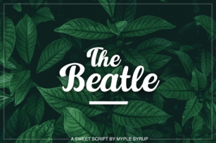 The Beatle Font Download