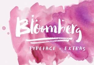 BLOOMBERG FONT +  EXTRAS Font Download