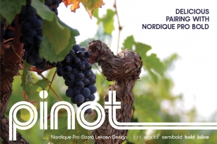 Nordique Pro Inline Font Download