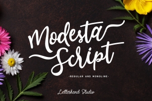 Modesta Script duo Font Download