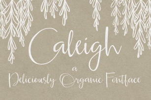 Caleigh Script with Bonus Font Download