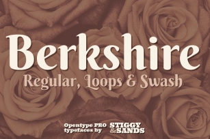 Berkshire Pro Family Font Download