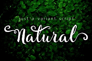 Natural Script Font Download