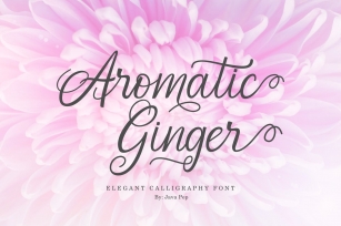 Aromatic Ginger Font Download