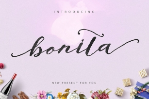 Bonita Script 20%OFF Font Download