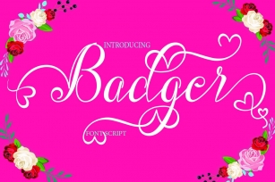 Badger Font Download