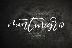 Montenegro.Textured script font Font Download