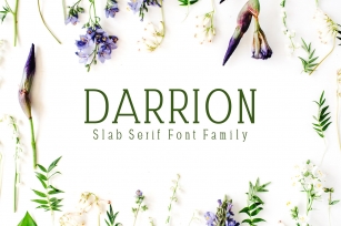 Darrion Slab Serif Family Font Download